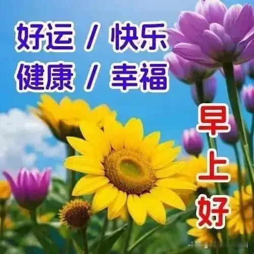 一缕阳光，一声祝福。一声珍重，一份情浓。生活最美的不是风景，而是快乐的心情。新的
