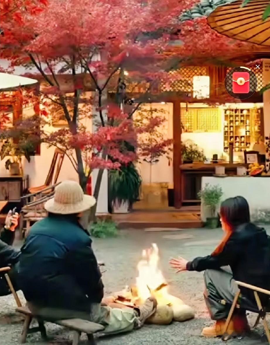 当前小院经济从网红打卡向深度运营转型的关键赛道。洗牌的核心，在于消费者不再满足于