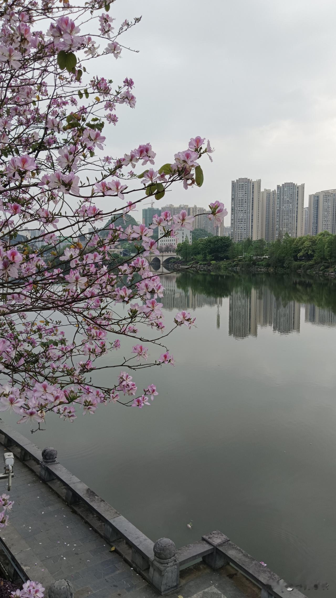 我的下联是：春风化喜雨。