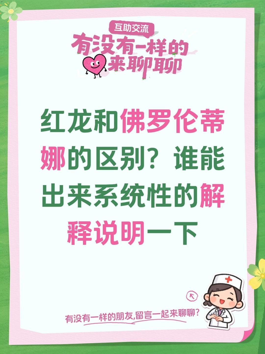 红龙和佛罗伦蒂娜的区别？谁能出来系统性的解释说明一下藤本月季 爬藤月季 藤本月季
