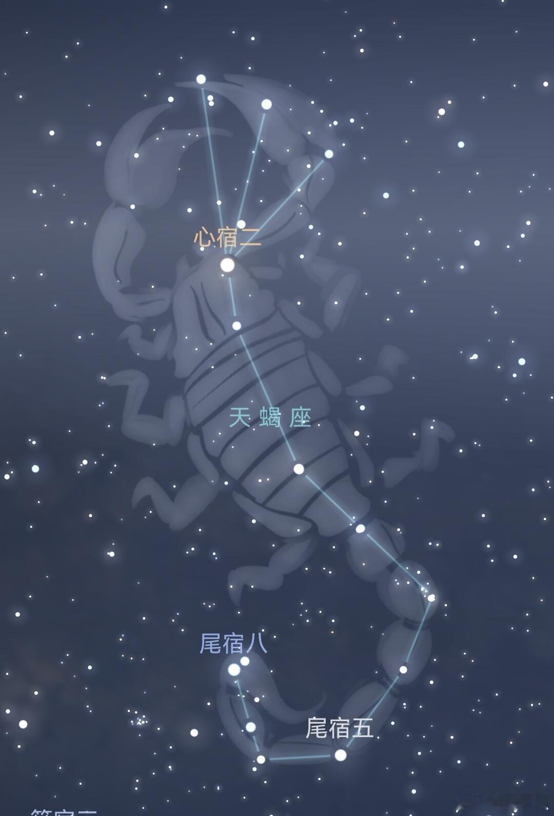 当夏日夜幕缓缓降临，璀璨星空悄然上演一场浪漫的“三角之约”——由天琴座的织女星、