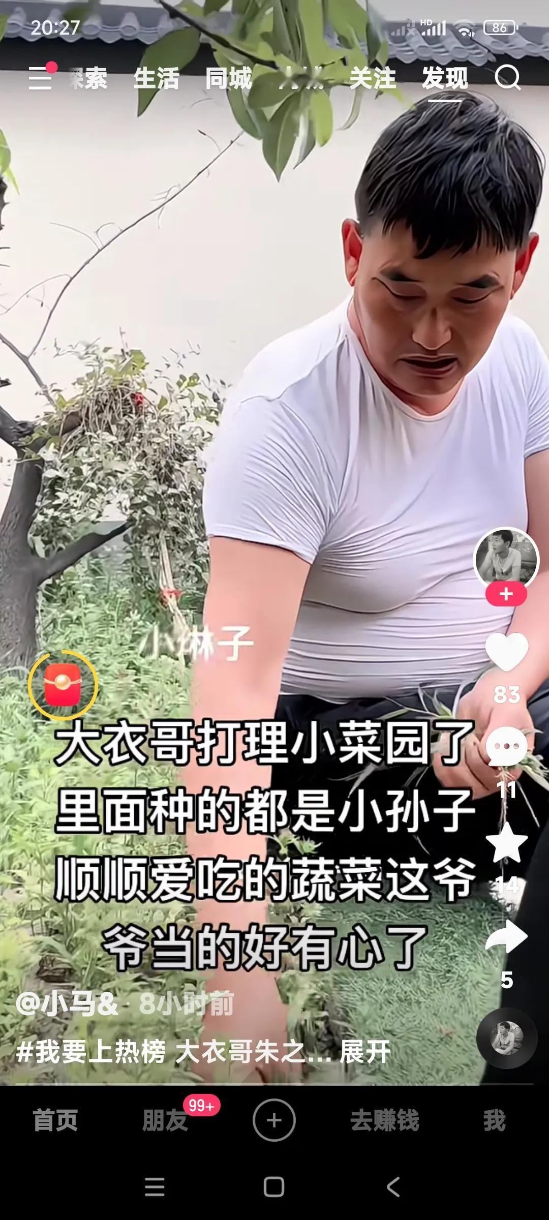 朱之文这爷爷当的太合格了。

园子里种的菜全是小孙子爱吃的蔬菜。

这爷爷当的太
