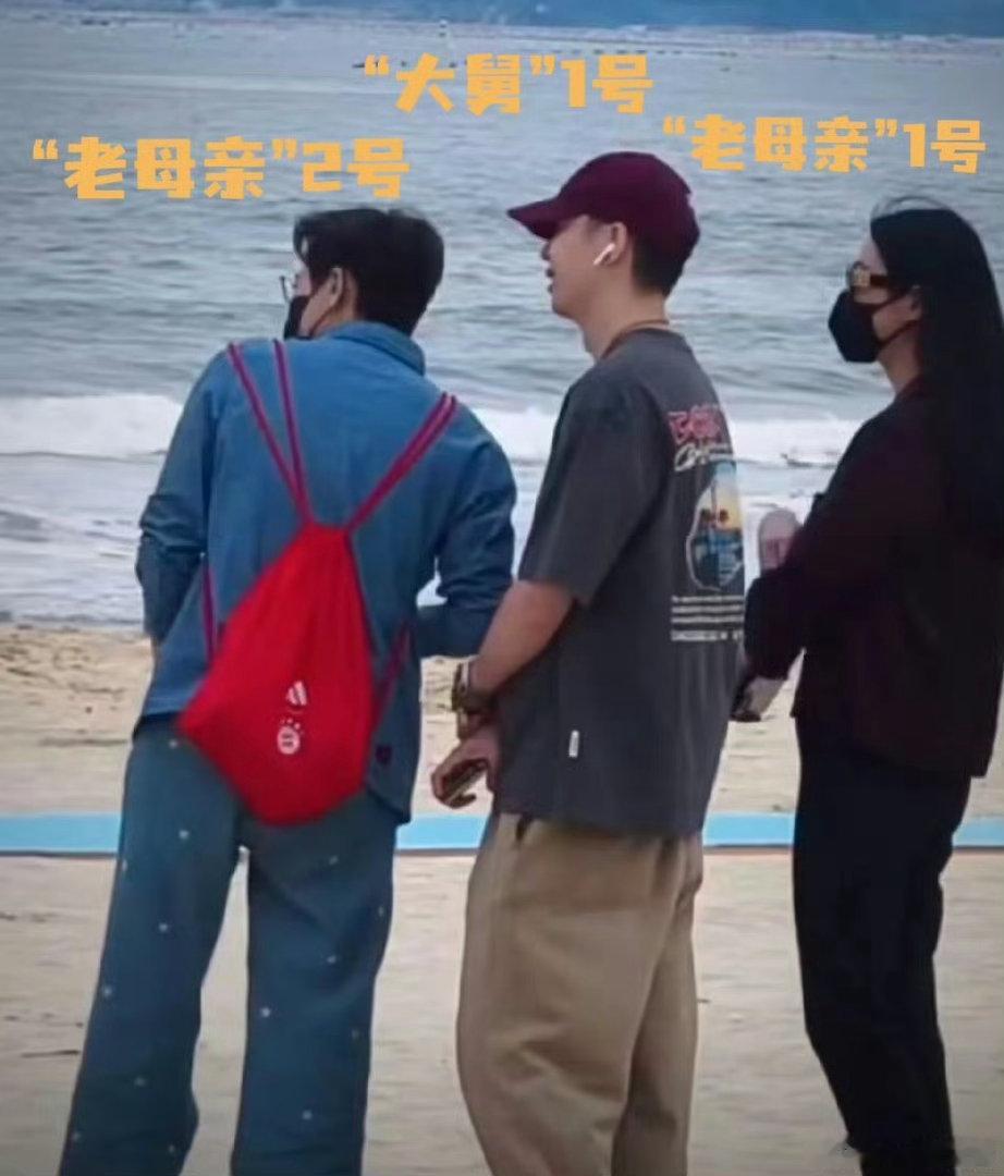放娃上岛的既视感，操碎了心