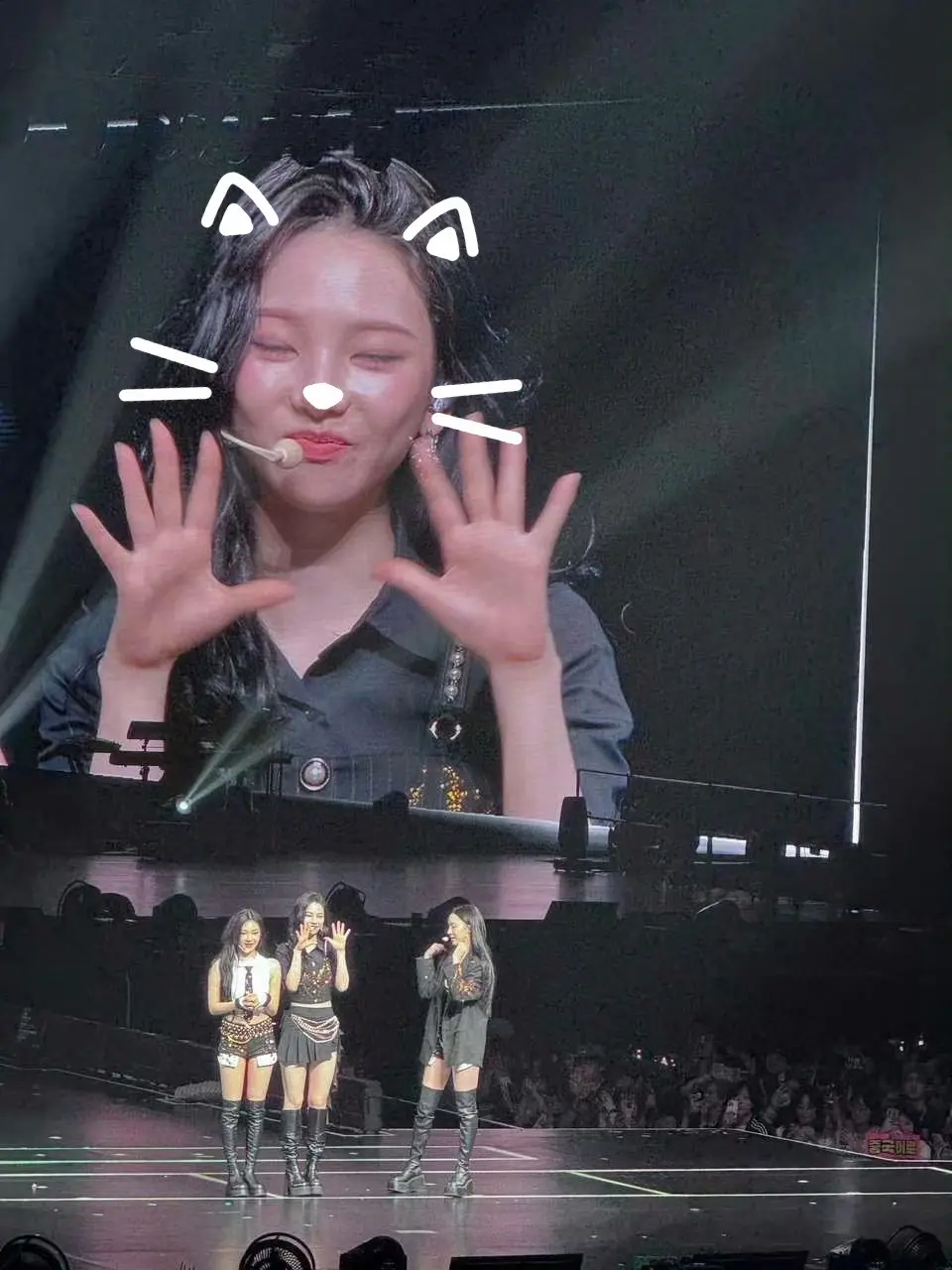 猫女的一生不受束缚。