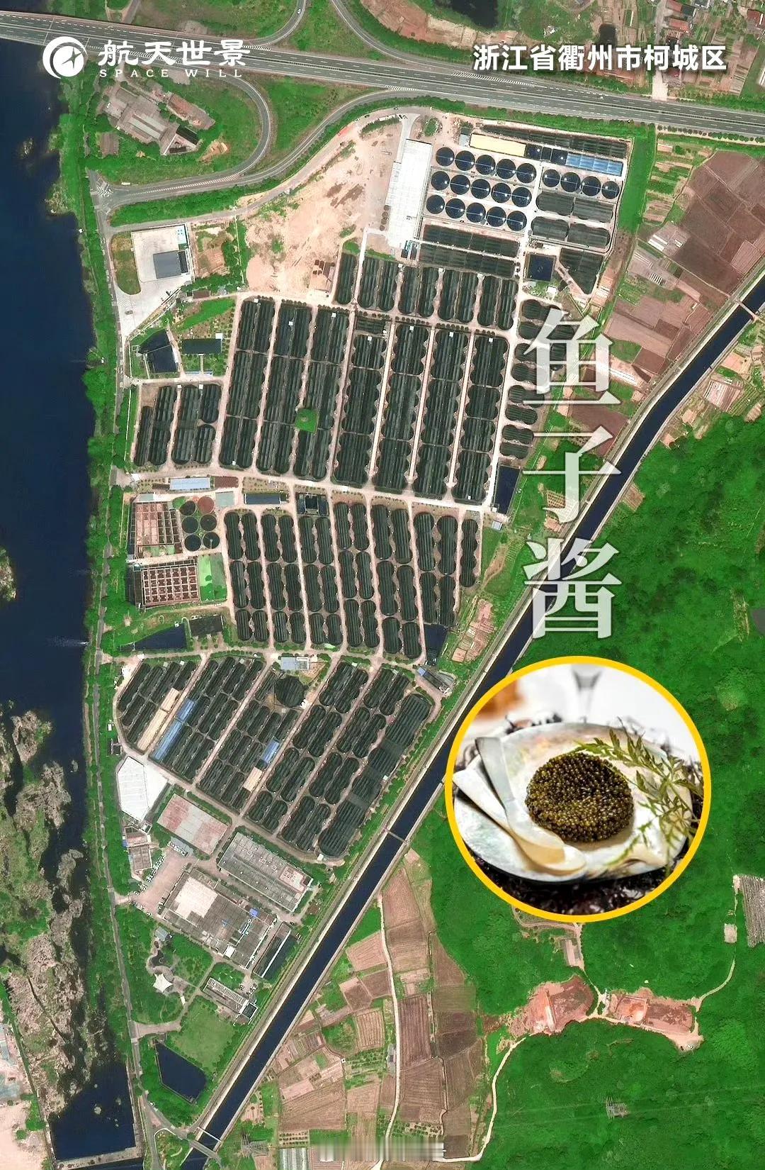 浙江省衢州市柯城区卫星图（10）