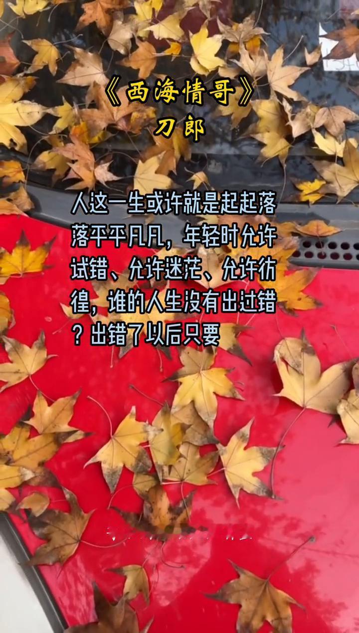 《西海情哥》刀郎。
一眼望不到边，人这一生或许就是起起落，落平平凡凡，年轻时允许