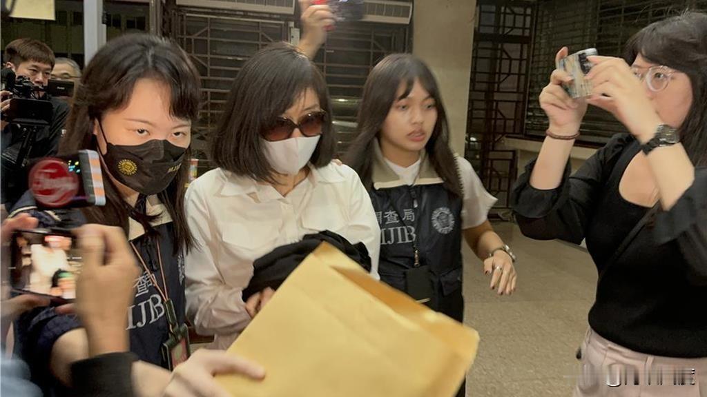 超思负责人秦语乔之女吴谕非返台被北检以300万交保，同一检察官双标办案，遭民众党