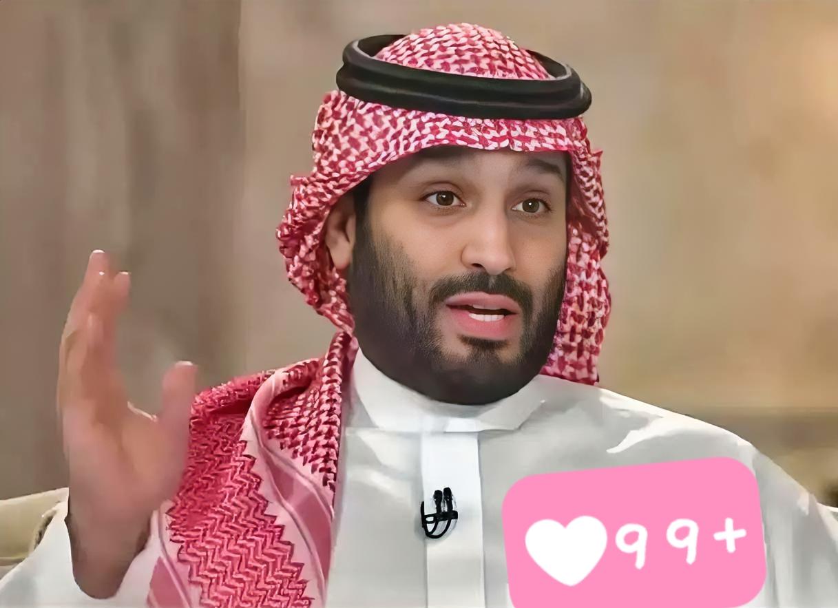 沙特做出了正确选择。

俄罗斯卫星通讯社1月28日报道，沙特王储小萨勒曼与伊朗总