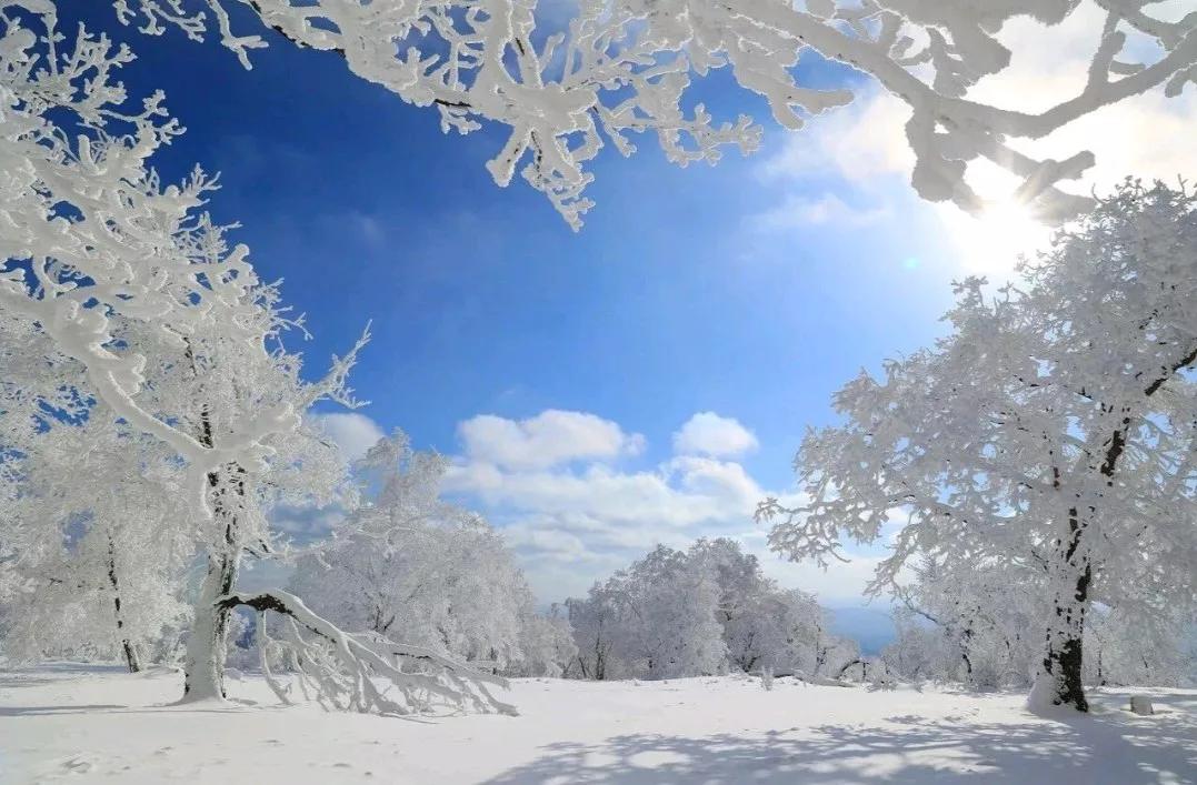 今年石家庄地区的雪比往年来得晚了些。我看天气预报10 - 11日河北全省有最大范