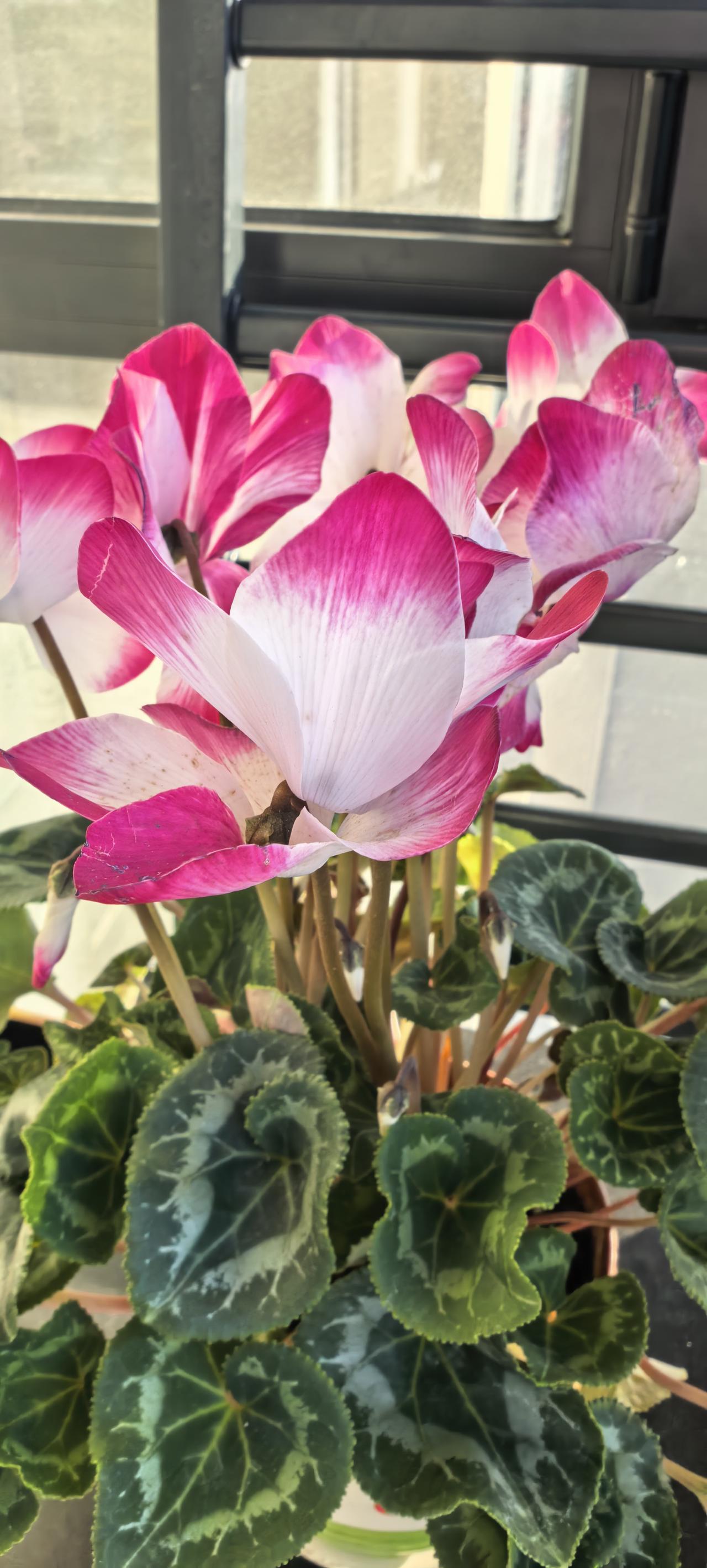 你对医院谈效益、谈创收,怎么看?
若想花能盛开，必须要有营养供给。
若想医护提供