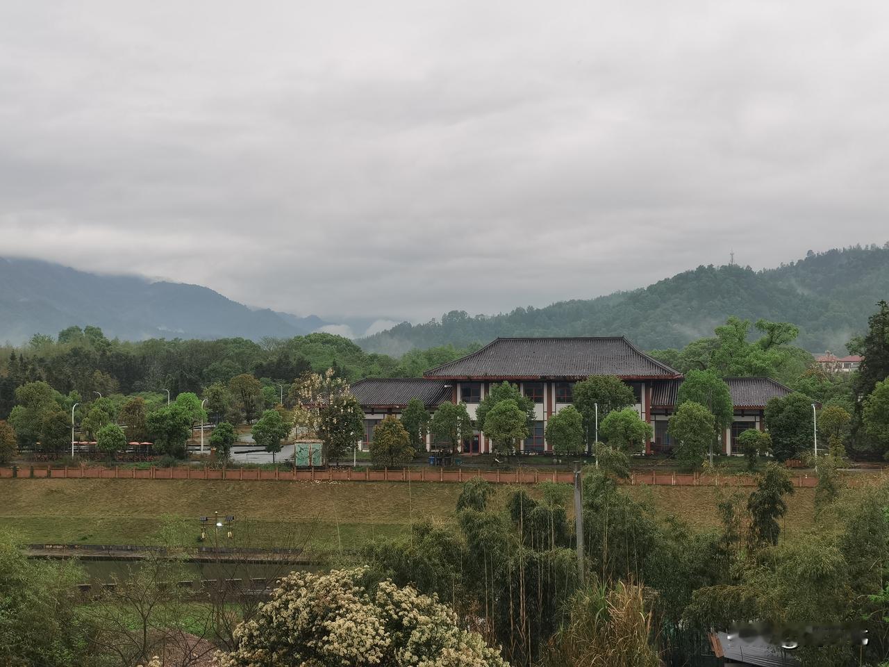 炒股的朋友，未来的方向在哪里？
如果没有能力的，不会分析政策的，没有什么技术的。