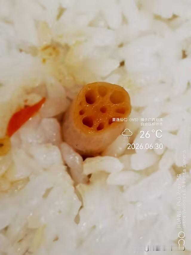 月居生活记录（10037）广西壮族自治区柳州市（74）品尝小吃24：藕芽炒牛肉+