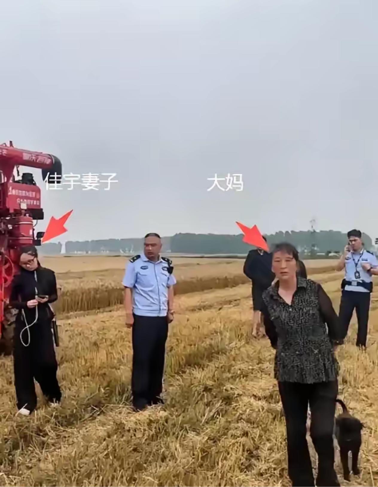 最近襄阳麦收的“割四赔五”事件，真的越看越气，越想越寒心！

这次出事的是一对9