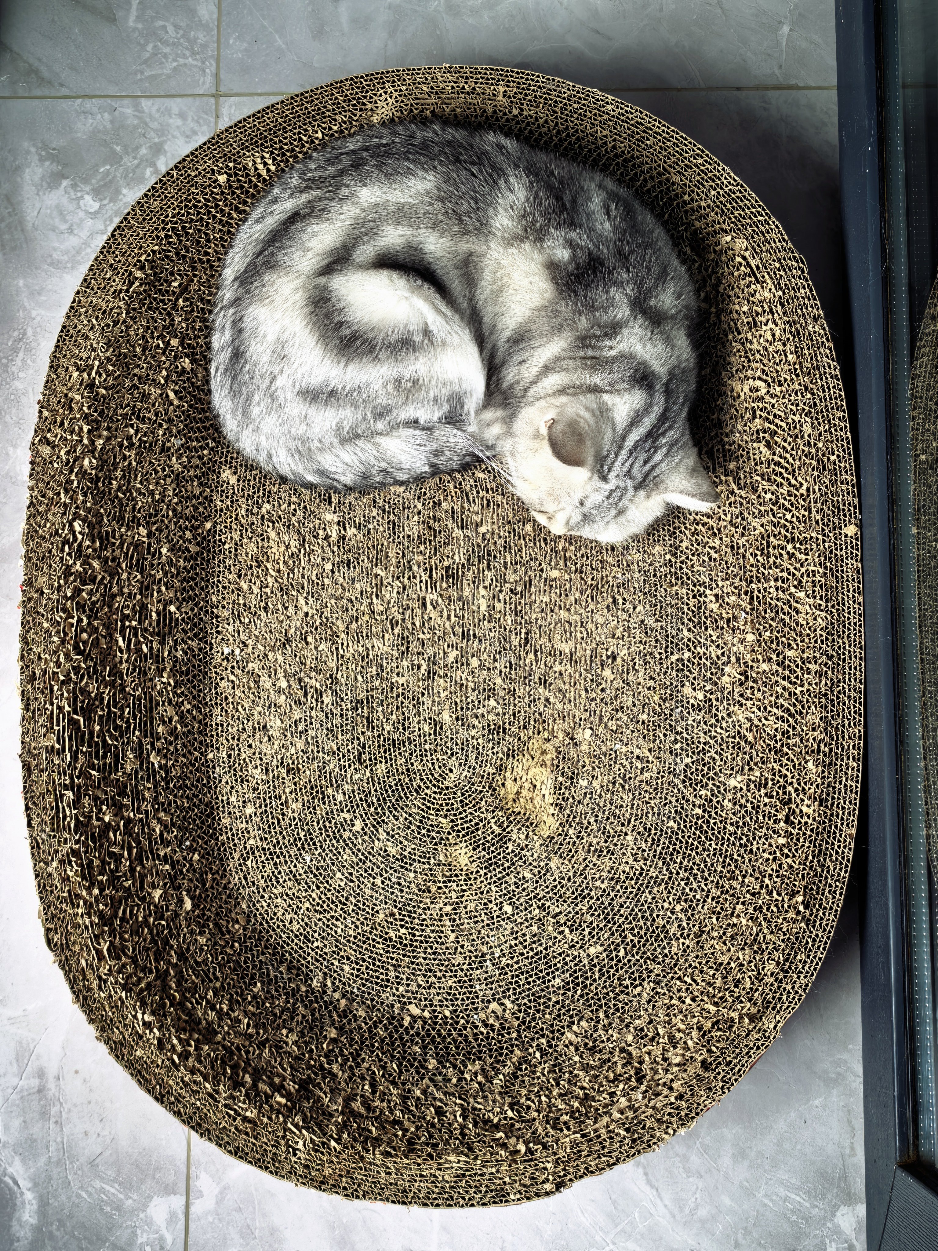 大孩儿睡小窝，小孩儿睡大窝 