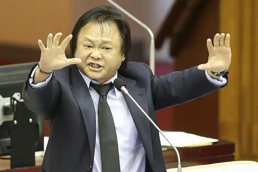 王世坚真把自己当根葱了，大陆网民制作他的歌曲，主要为了调侃“台独”，更是用绿营打