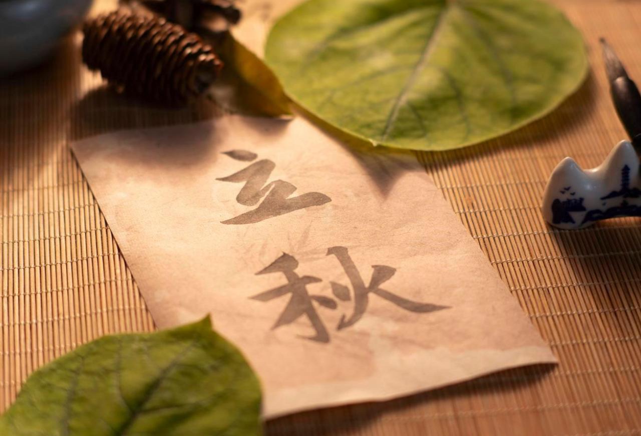今天立秋，让我们一起看看“太阳日历”，看看什么是黄道、黄经、黄经135°？

今