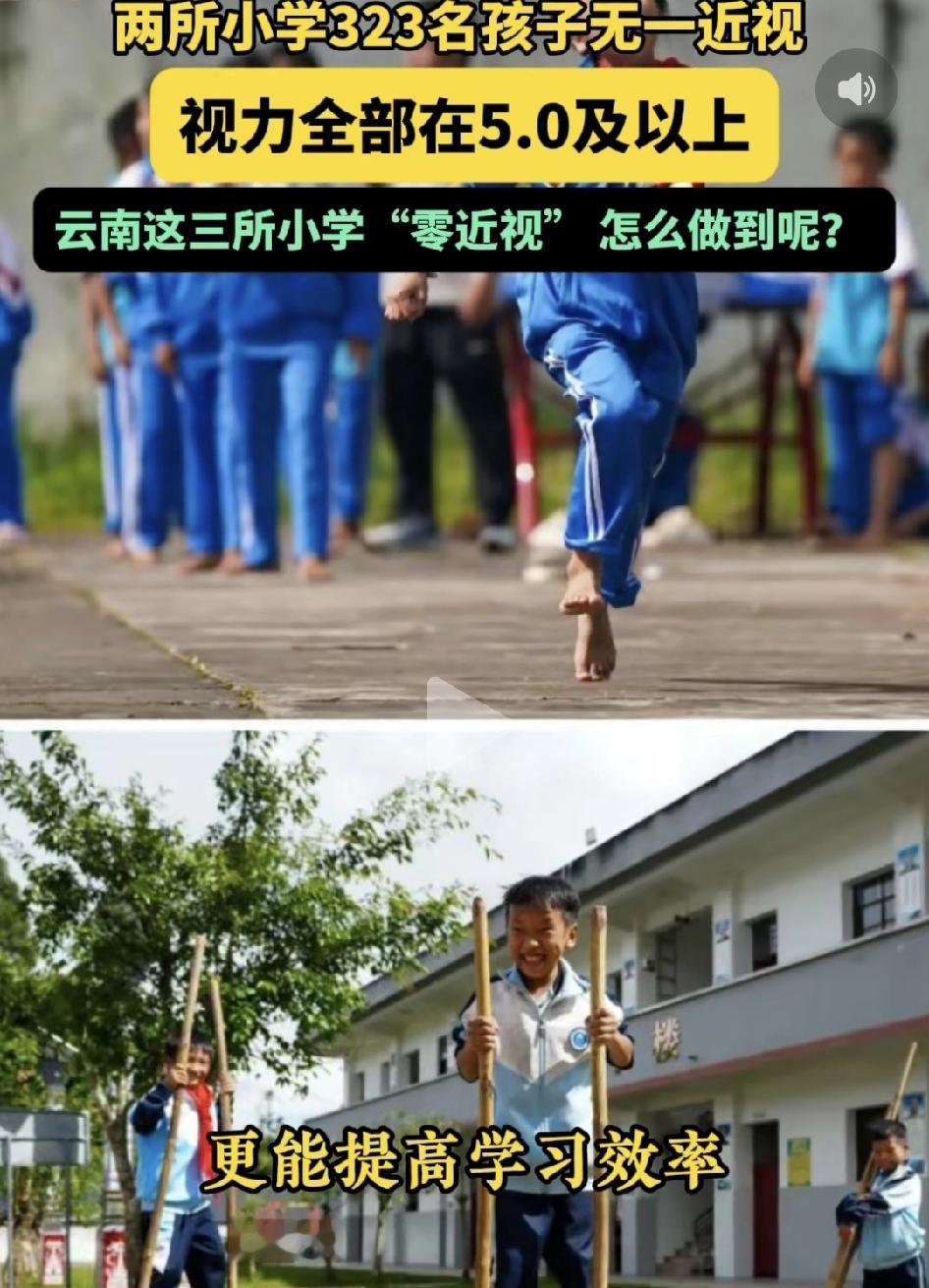 云南两所小学323名学生无一近视，大家的实力都在5.0以上。这是让多少学生家长羡