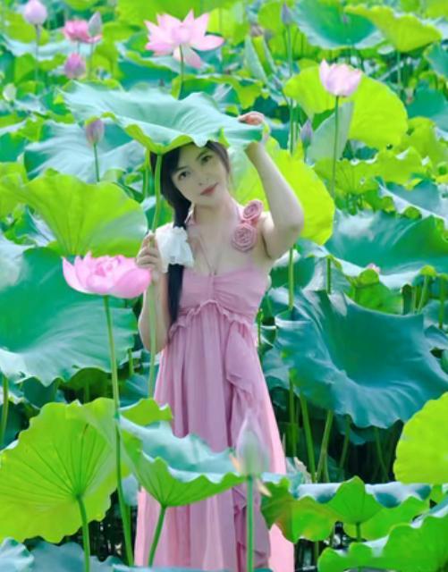 洋洋高锐“阳光～美人”◎来到荷塘发现了……她她是一只红蜻蜓吗怎么……这么可爱◎粉
