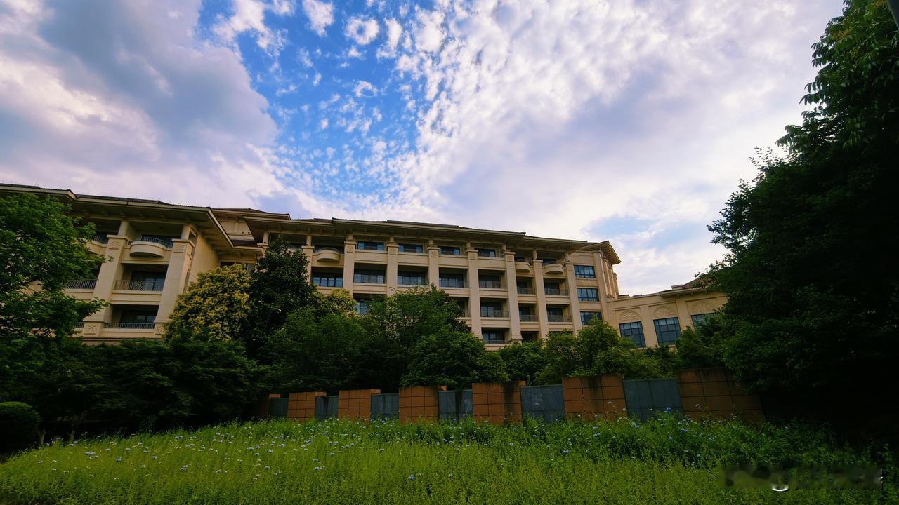 🌟黄仁勋最新观点：AI时代，你的核心竞争力不是专业，而是这个！  

最近毕业
