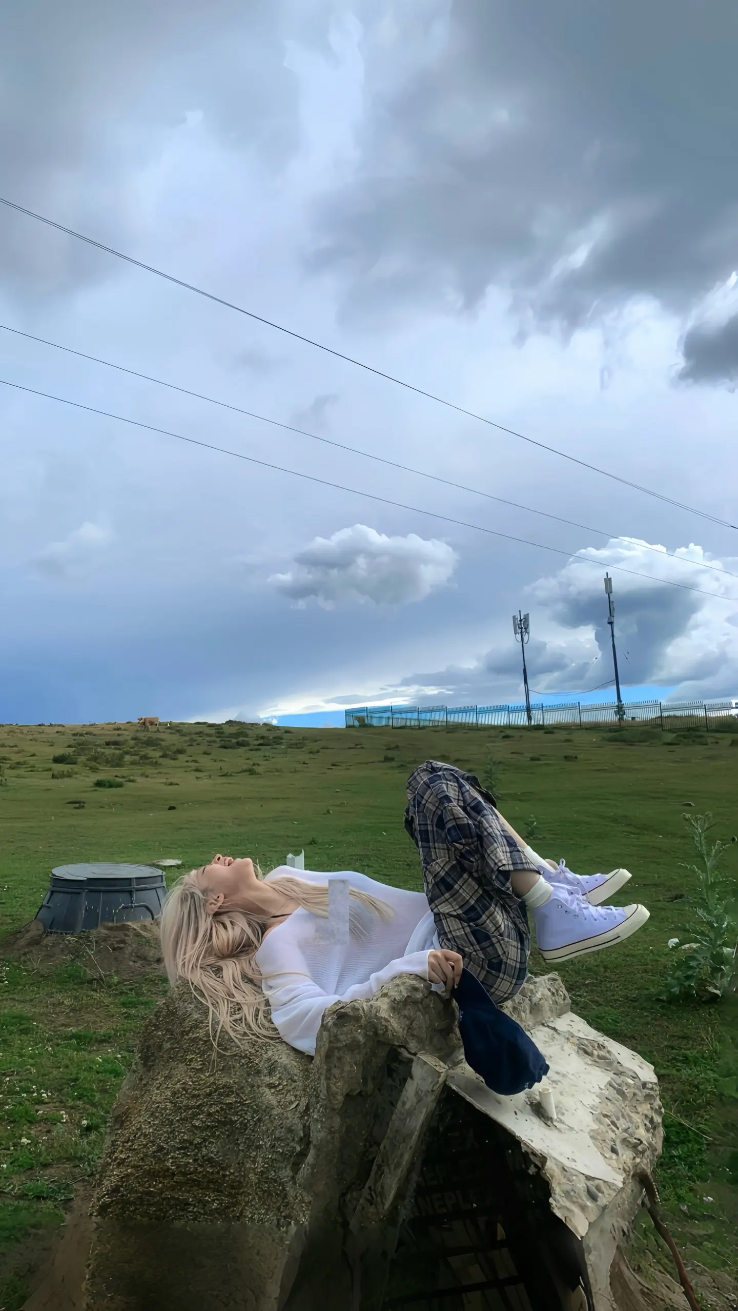 我心比天高 只求做自由鸟。