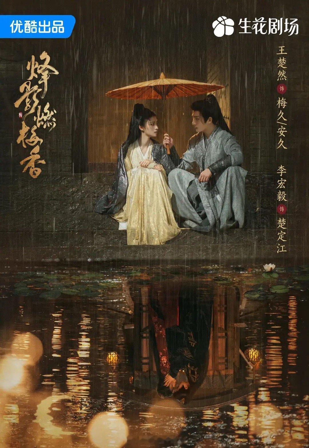 《烽影燃梅香》一体双魂的女杀手，带感！改编自袖唐的小说《伪宋杀手日志》，设定很有