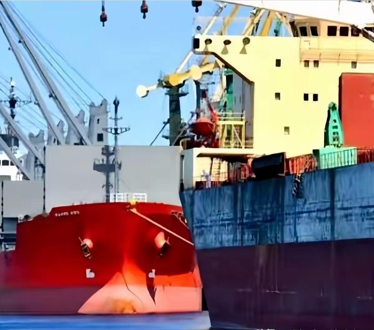 一艘满载6.9万吨巴西大豆运到家门口，被我们原路退回！
巴西农业部说了，中国在一