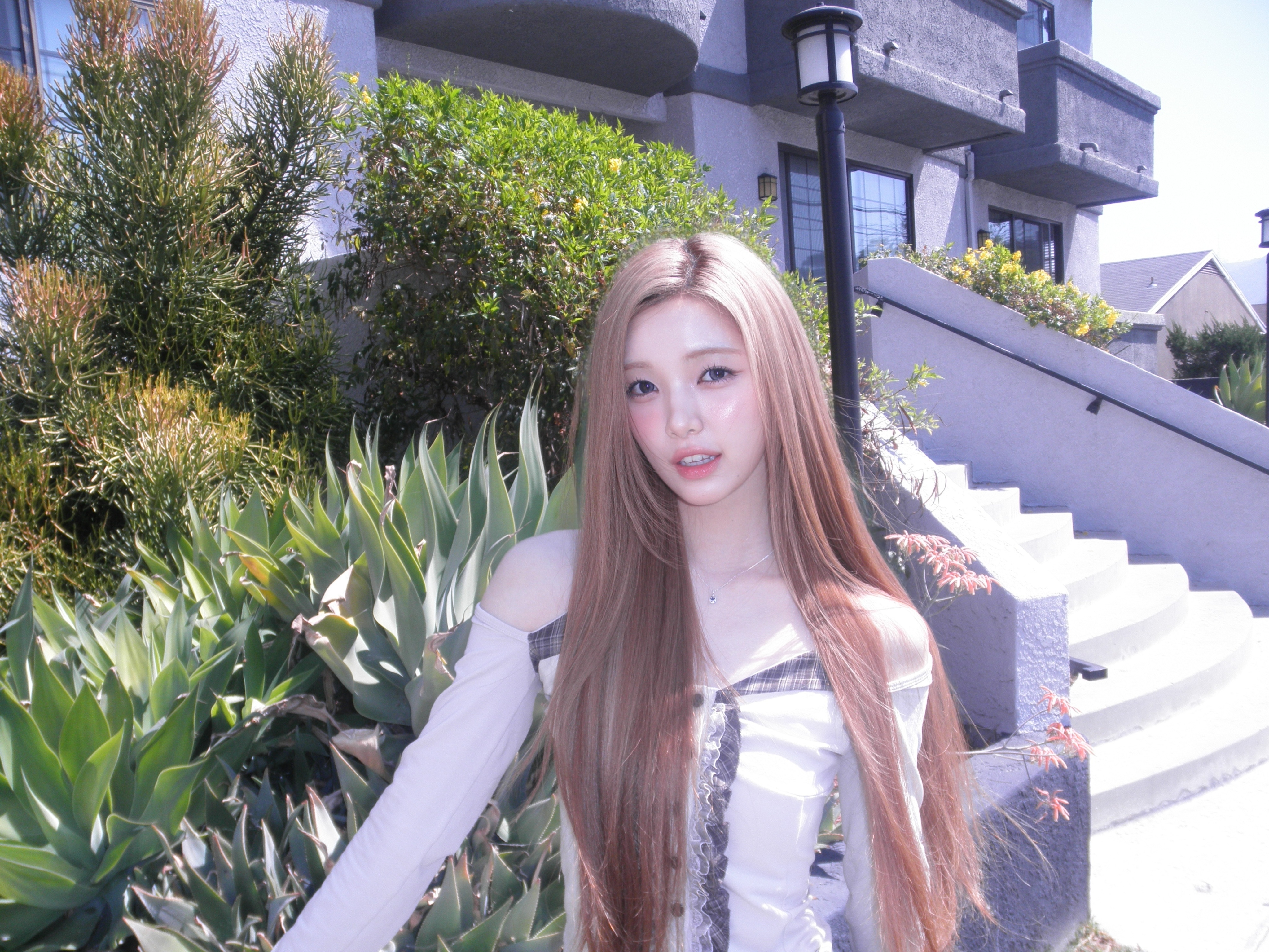 260326 wvs☀️🌱yuha'wvs