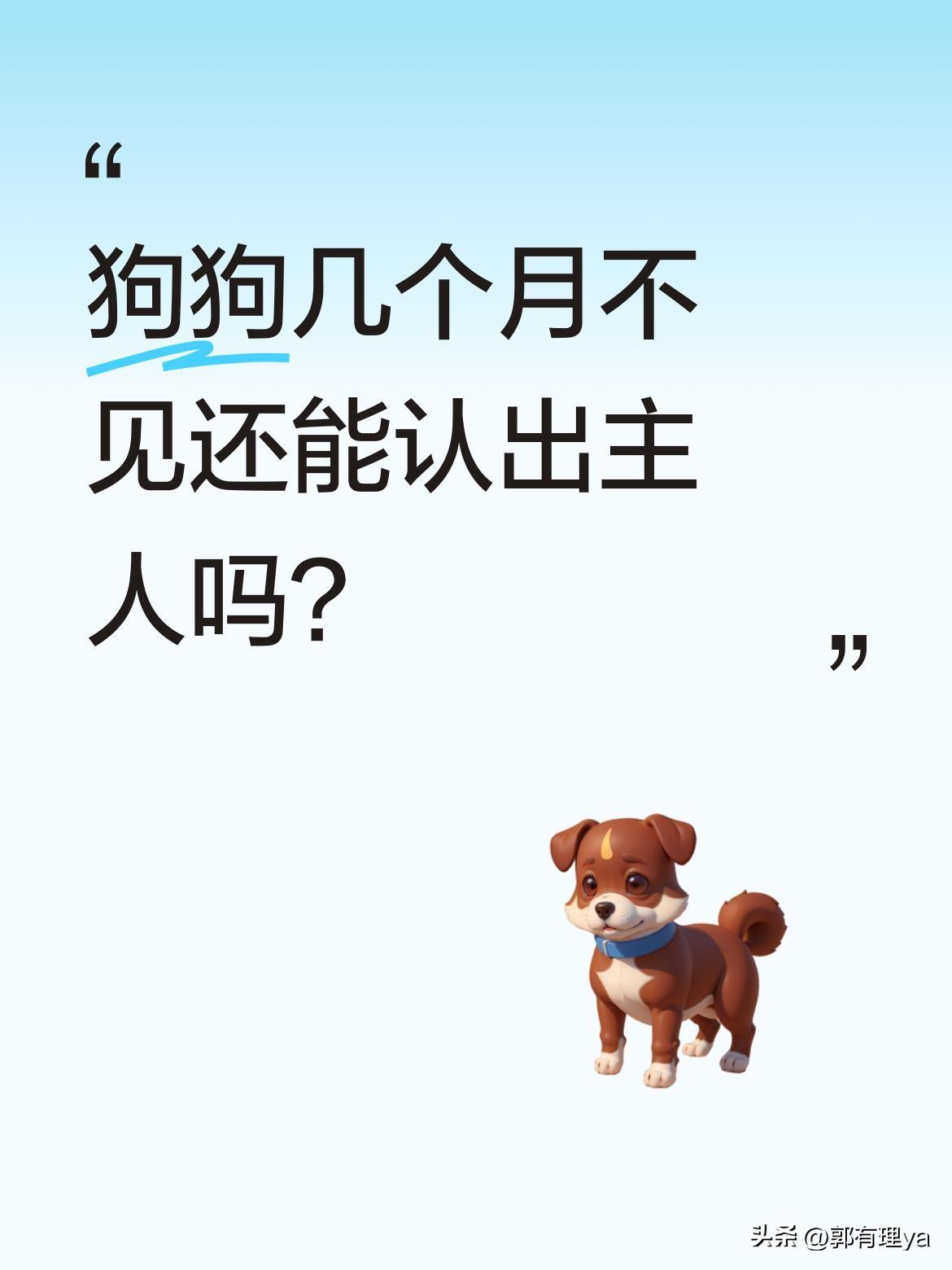 狗狗几个月不见还能认出主人吗？
有位主人做了个暖心测试：把自己包裹严实，看分别数