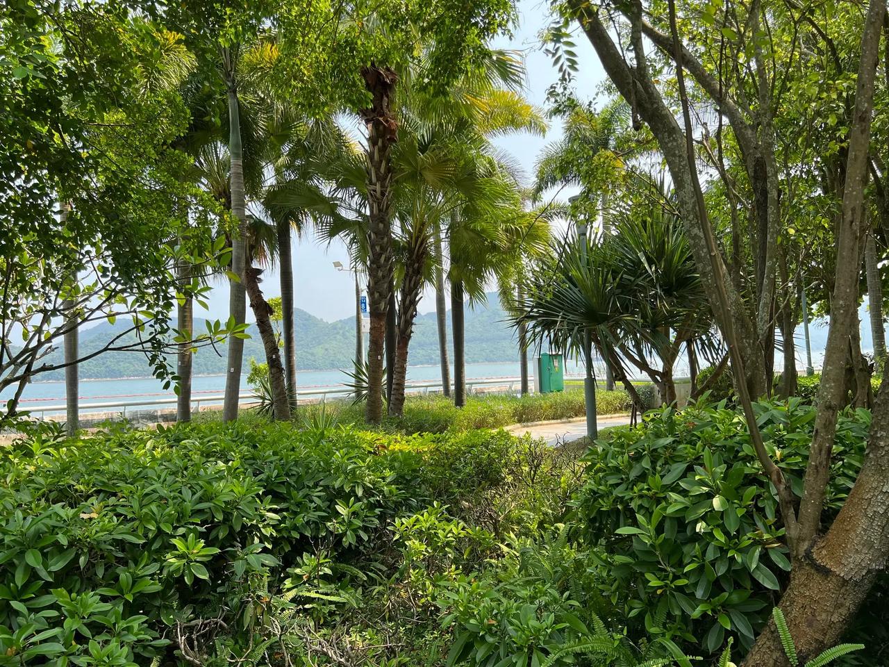 于海青：为何说心的方向才是自己最好方向？ 在这个时代，每天都会出现很多新的机会，