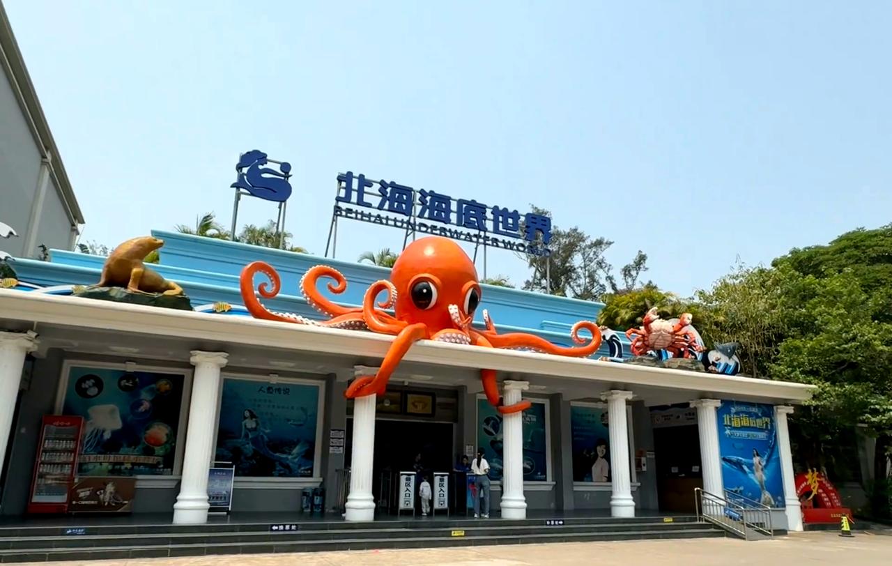 北海海底世界真的被低估了

带娃来北海游玩，早上，傍晚不热去海边，中午就去北海海
