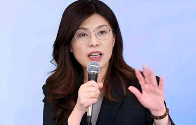 郑丽文又开始大嘴巴了！6月18日，郑丽文表示，两岸问题的解决可以参照“欧盟模式”