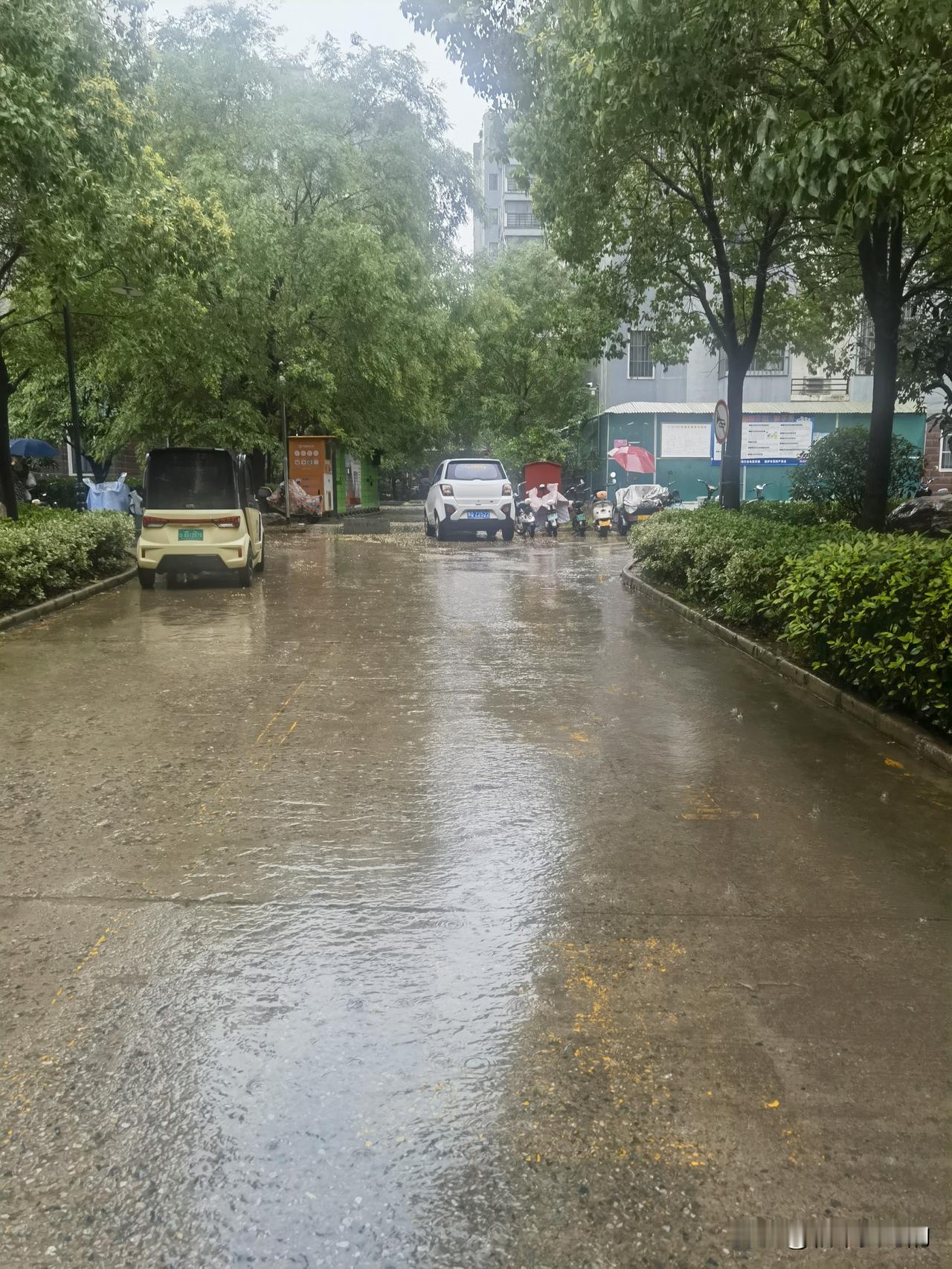 实在没招儿了，
山东这破天，
咱裤衩子打从开始下雨，
就没沾过太阳味了。
 
这