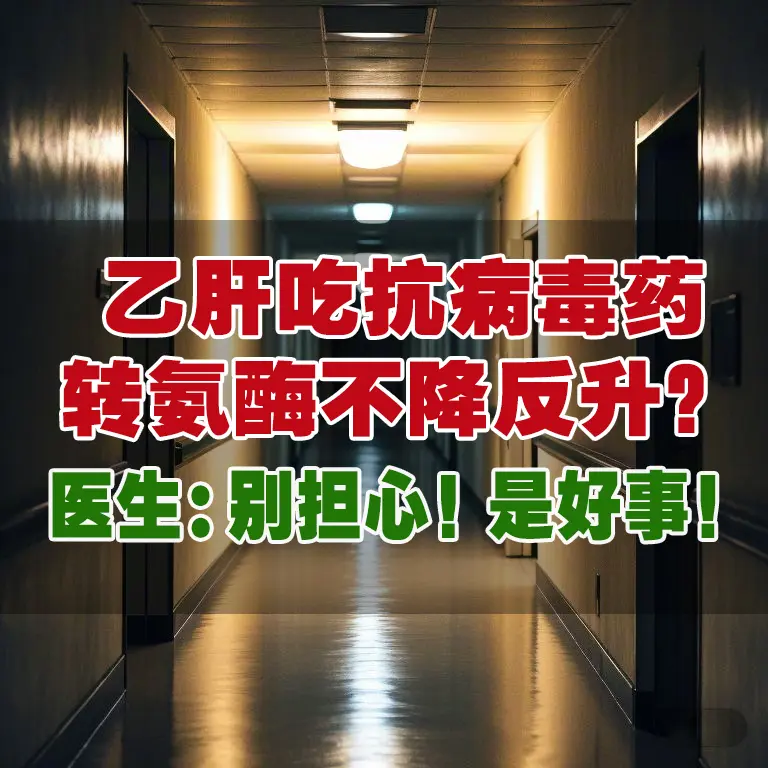 前两天遇到一位患者，36岁，乙肝抗病毒治疗后，转氨酶不降反升高到100...