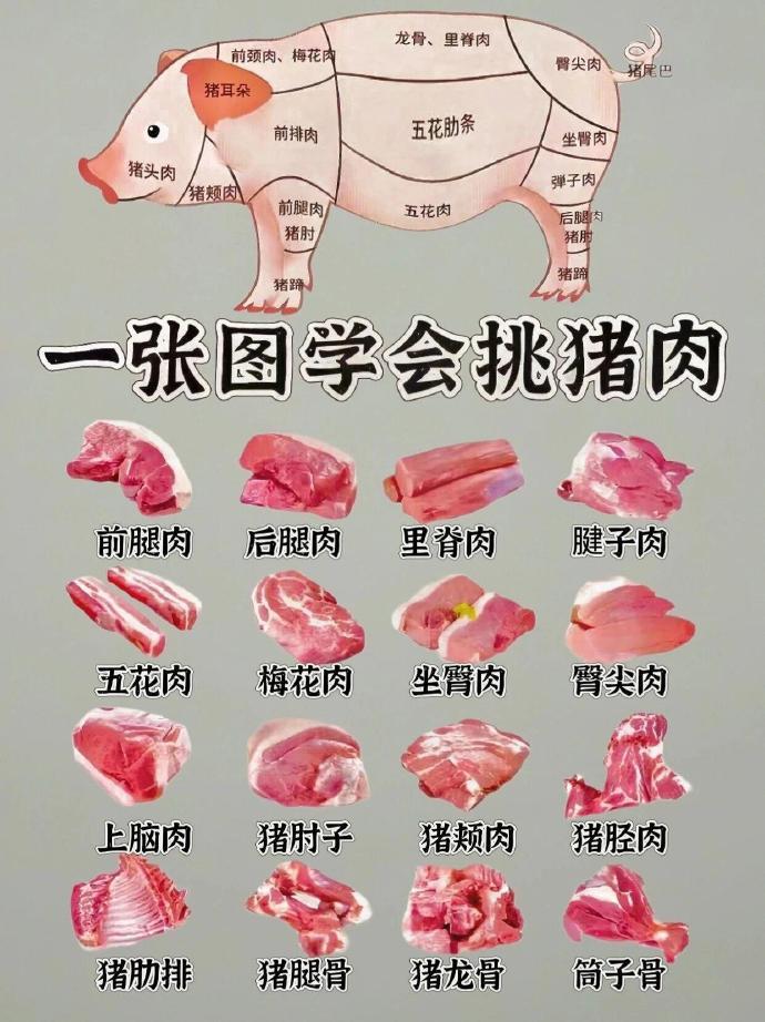 一张图学会挑猪肉，常见猪肉的区别！ 