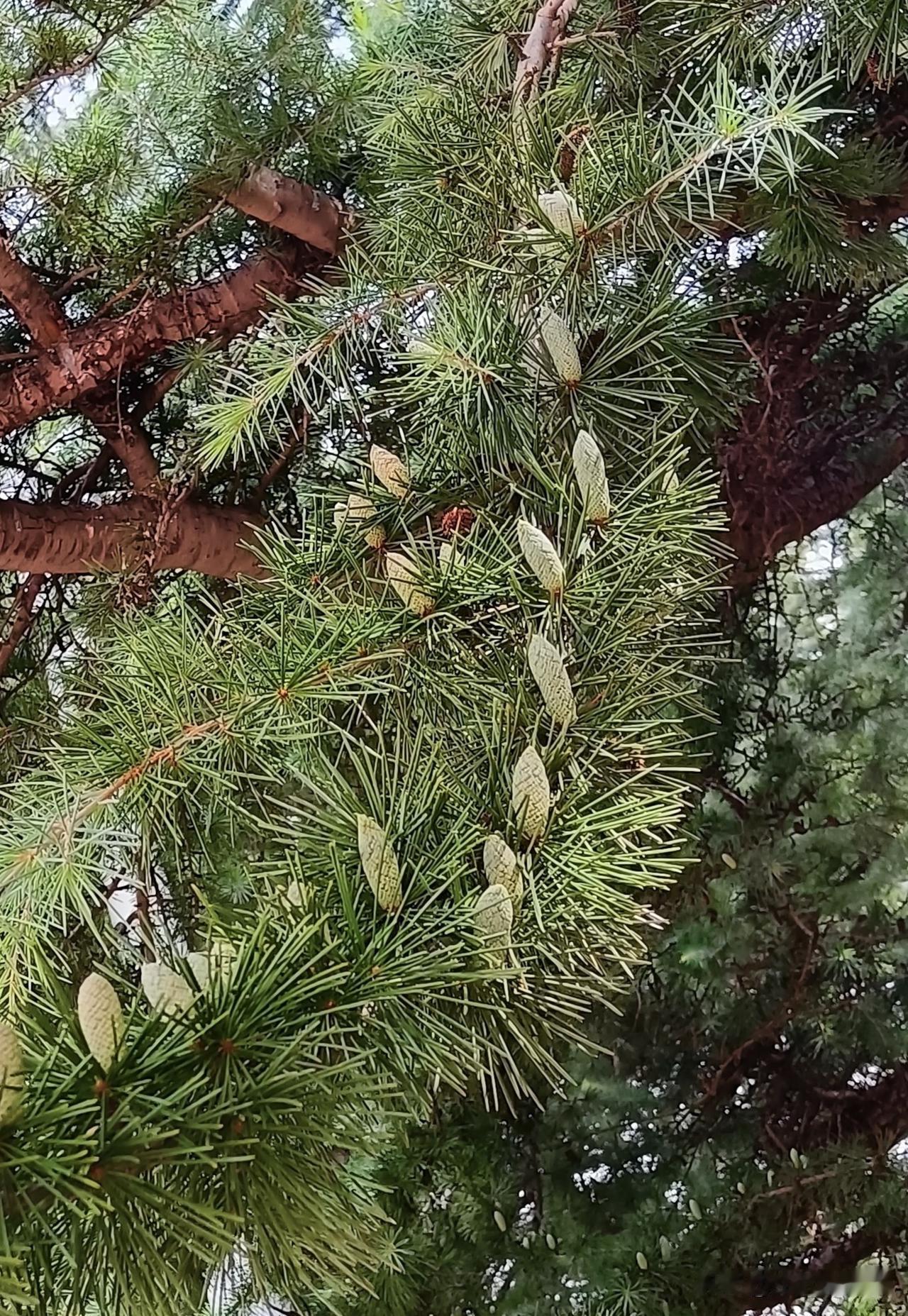 怪事年年有，
不如今年多，
这不，昨晚和朋友小聚，听说了一件事，这人还能不讲理成