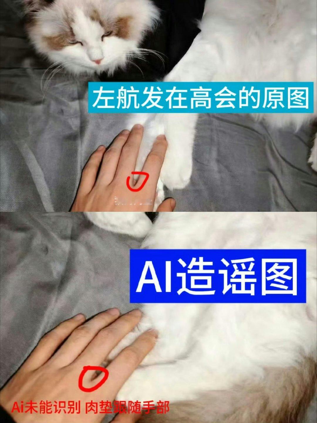 左航这波真的是典型的“无妄之灾”——明明只是日常晒宠的习惯，却被恶意利用人设造了