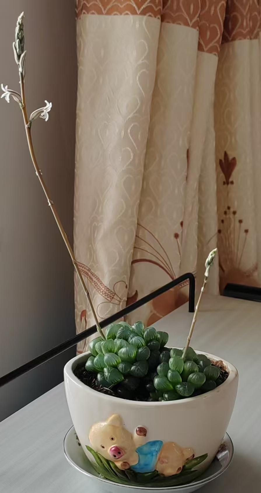 


更年期不适能否“忍忍就过去”？如何正确看待激素治疗？| 时令节气与健康