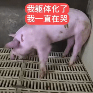 分享图片 ​​​