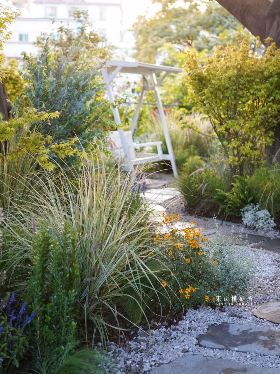 东植x溪木源|神仙公司的室外小花园🍃