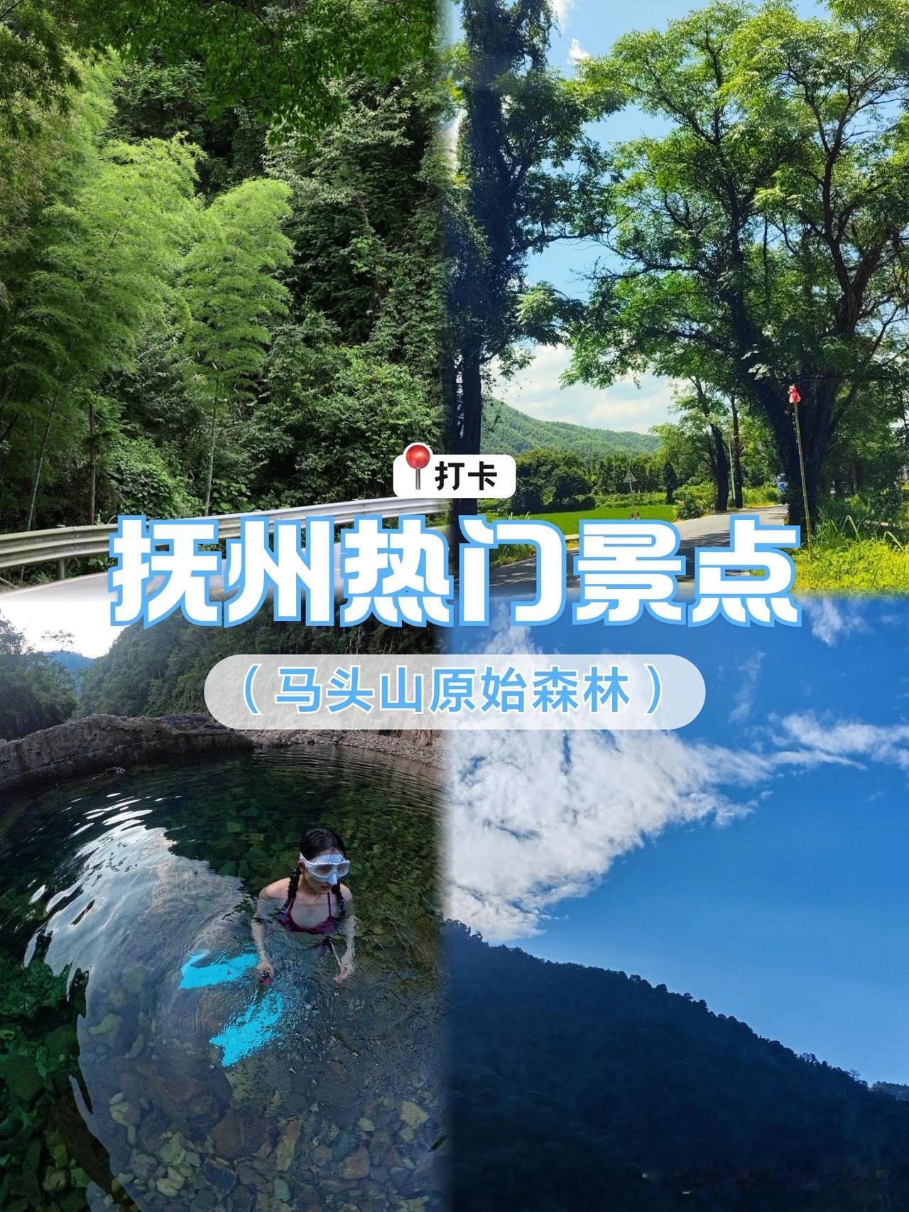 🌿穿越千年秘境！抚州马头山原始森林攻略

刚从抚州马头山回来！这个被低估的原始