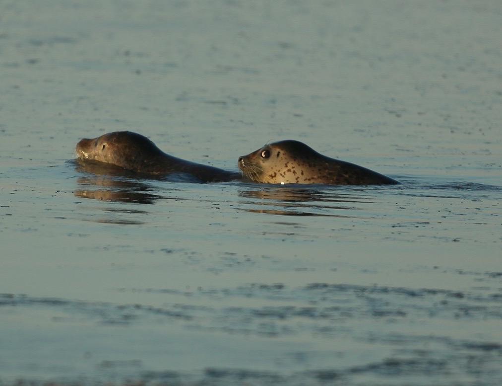 想看看大家相册中的海