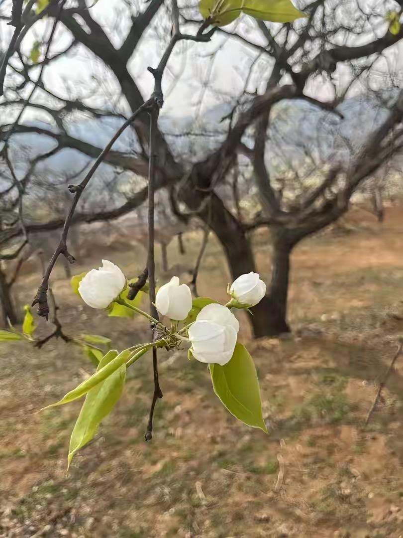 一定要记住，
无论在哪上班，
不管你的领导多垃圾，
尽量不要得罪他。
毕竟工作是
