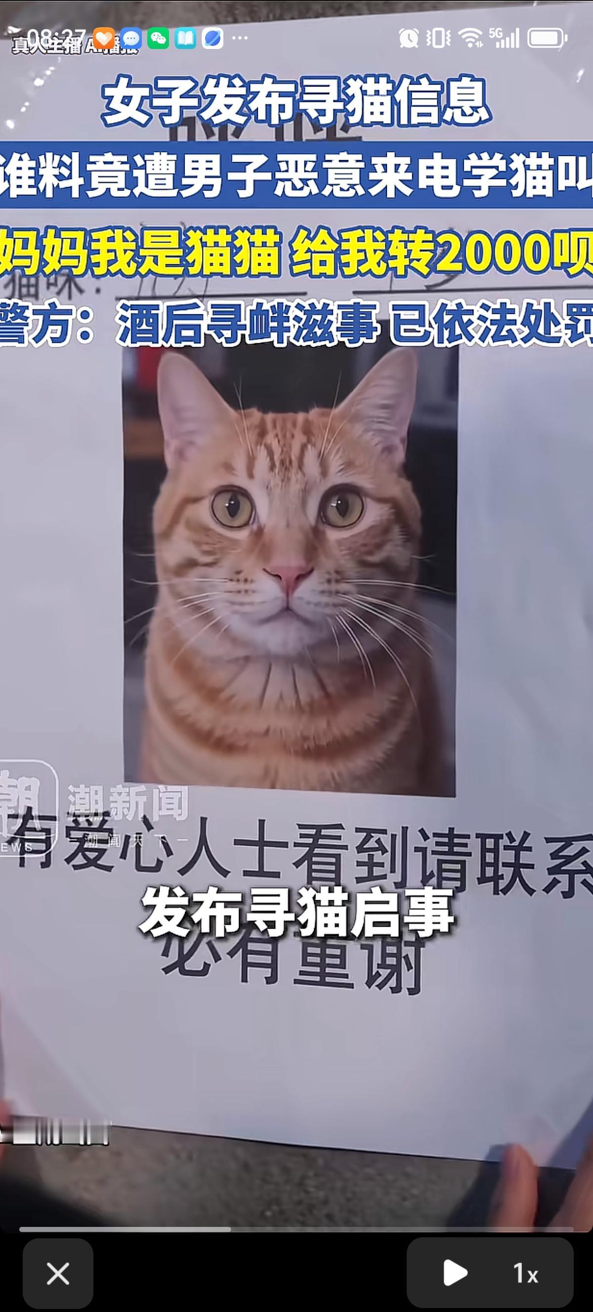 天津一女子因猫咪走失，发布寻猫启事并留下联系方式，悬赏2000元找猫。谁料没等来