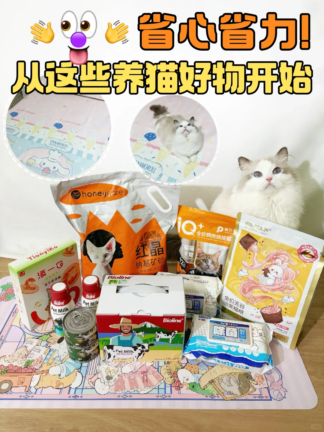 省心省力！从这些养猫好物开始