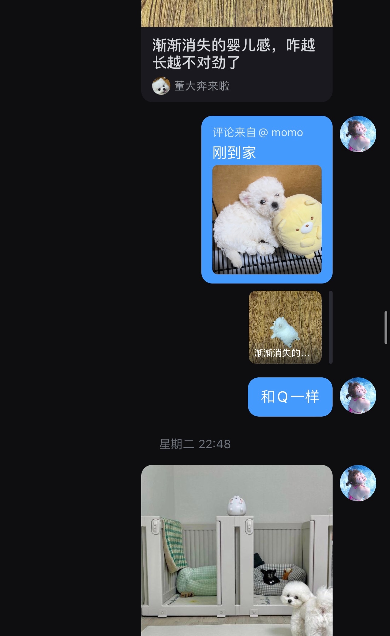 当了q妈后 我整天看的都是 ： ​​​