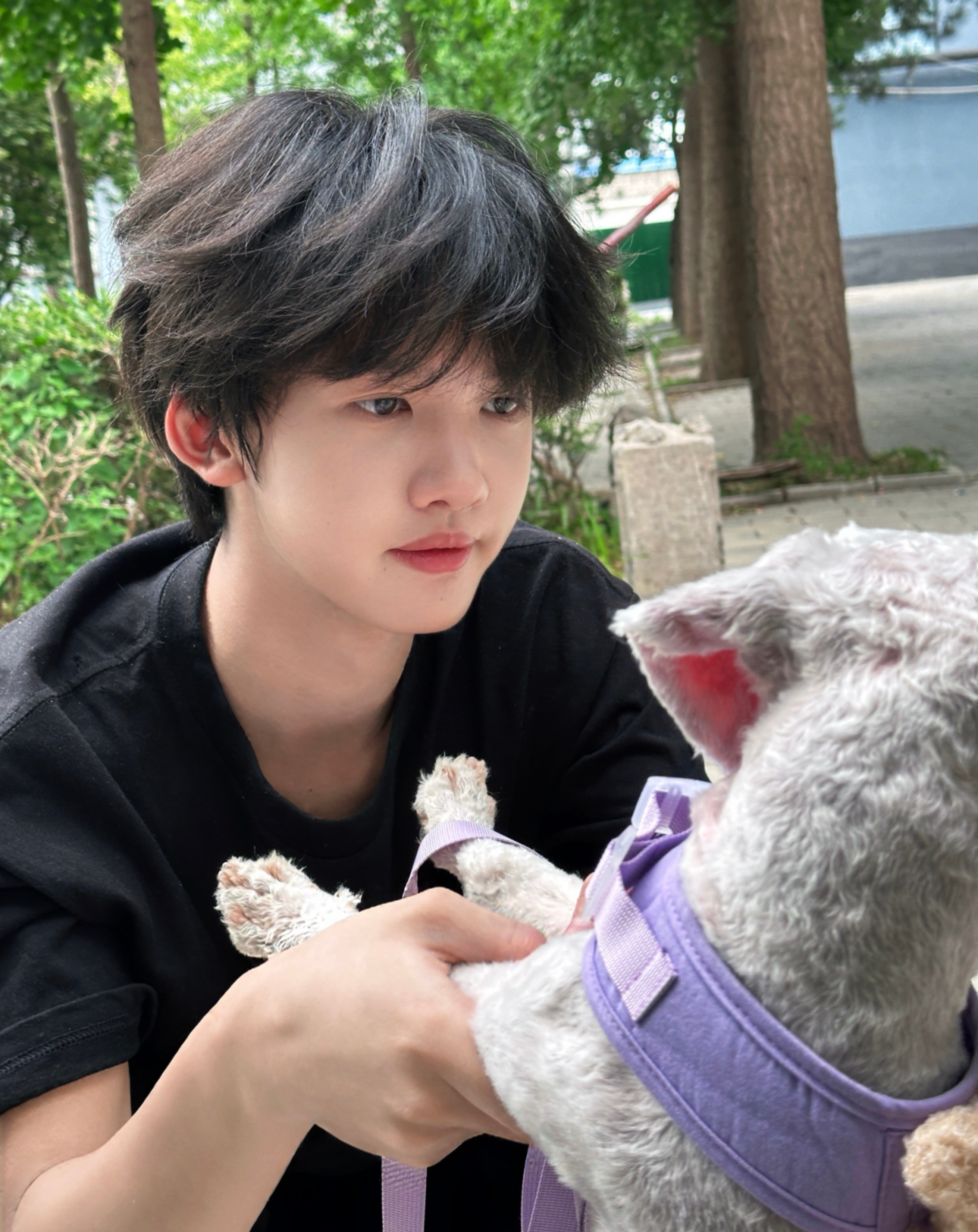 张奕然抱狗好温柔 张奕然高会：阳光很好☀️突突很可爱🐶阳光下软乎乎的少年贴贴乖