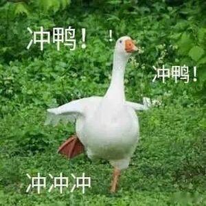 天天说辞职月月拿全勤 吐槽老板、吐槽琐事样样不落，看似随时整装跑路，考勤全满薪资