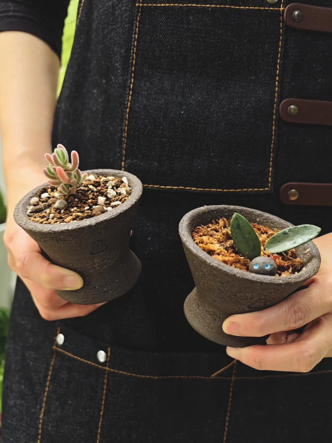 😍用可爱的植物和春天干一杯🍻