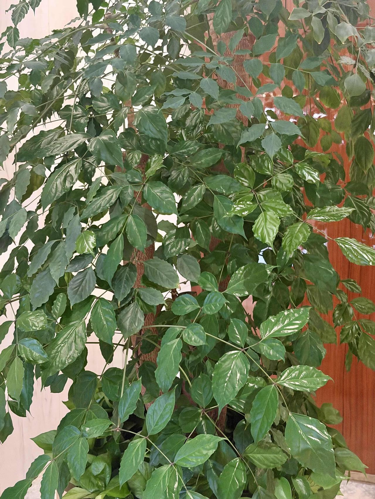 晒出今天随手拍的美图