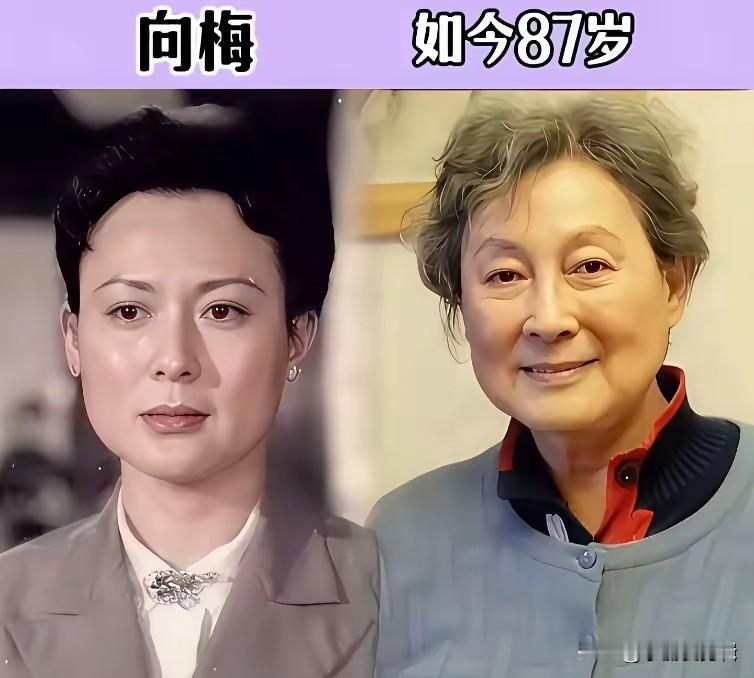 八十年代的演员向梅
八十年代的演员王建成
八十年代的演员田华
八十年代的演员张天